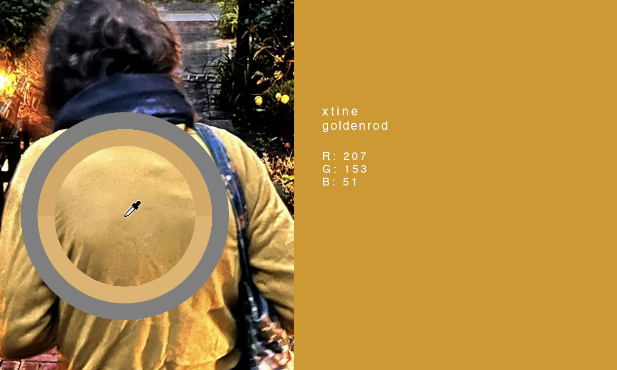 Goldenrod hoodie