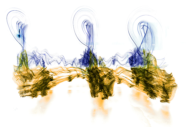 NCAA Basketball: UC Davis vs Cal State Fullerton MAR 2